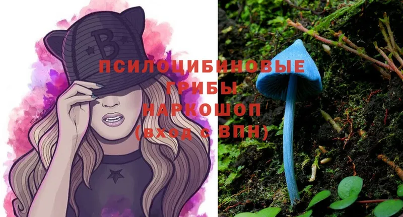 цены   Елец  Псилоцибиновые грибы Magic Shrooms 